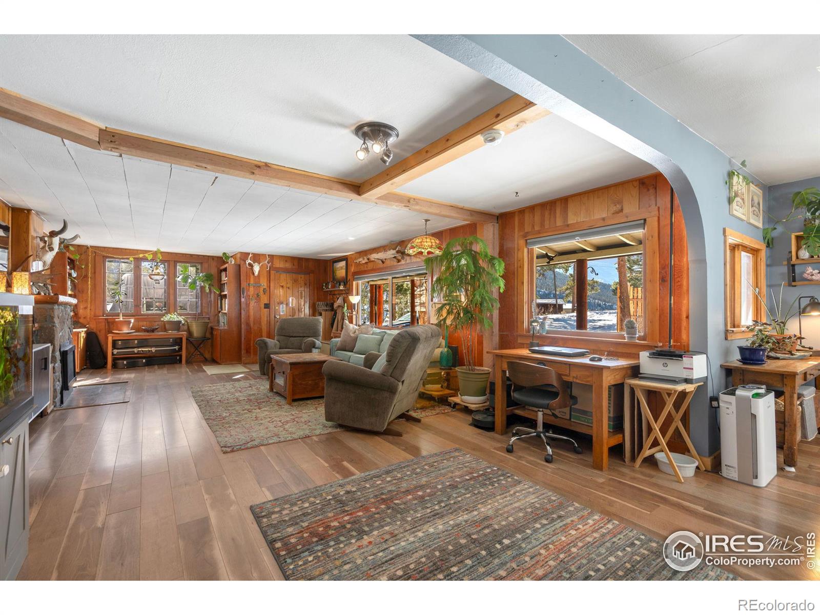 MLS Image #7 for 810  larkspur road,estes park, Colorado