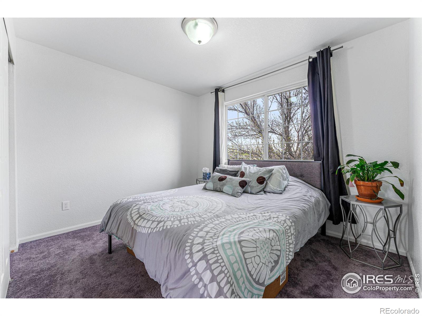 MLS Image #13 for 51  21st avenue,longmont, Colorado