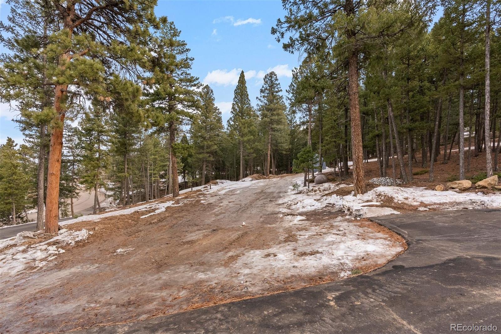 MLS Image #42 for 7845  armadillo trail,evergreen, Colorado