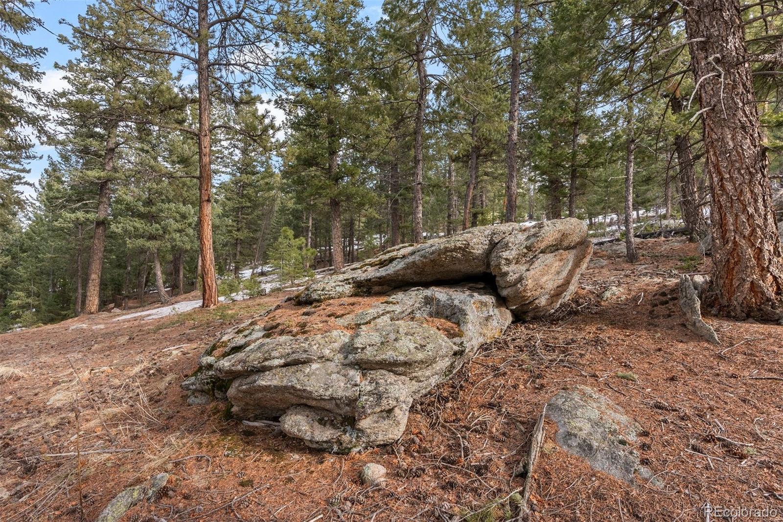 MLS Image #43 for 7845  armadillo trail,evergreen, Colorado