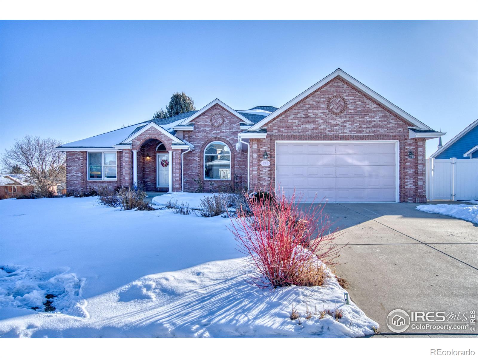 MLS Image #1 for 241  sherwood court,longmont, Colorado