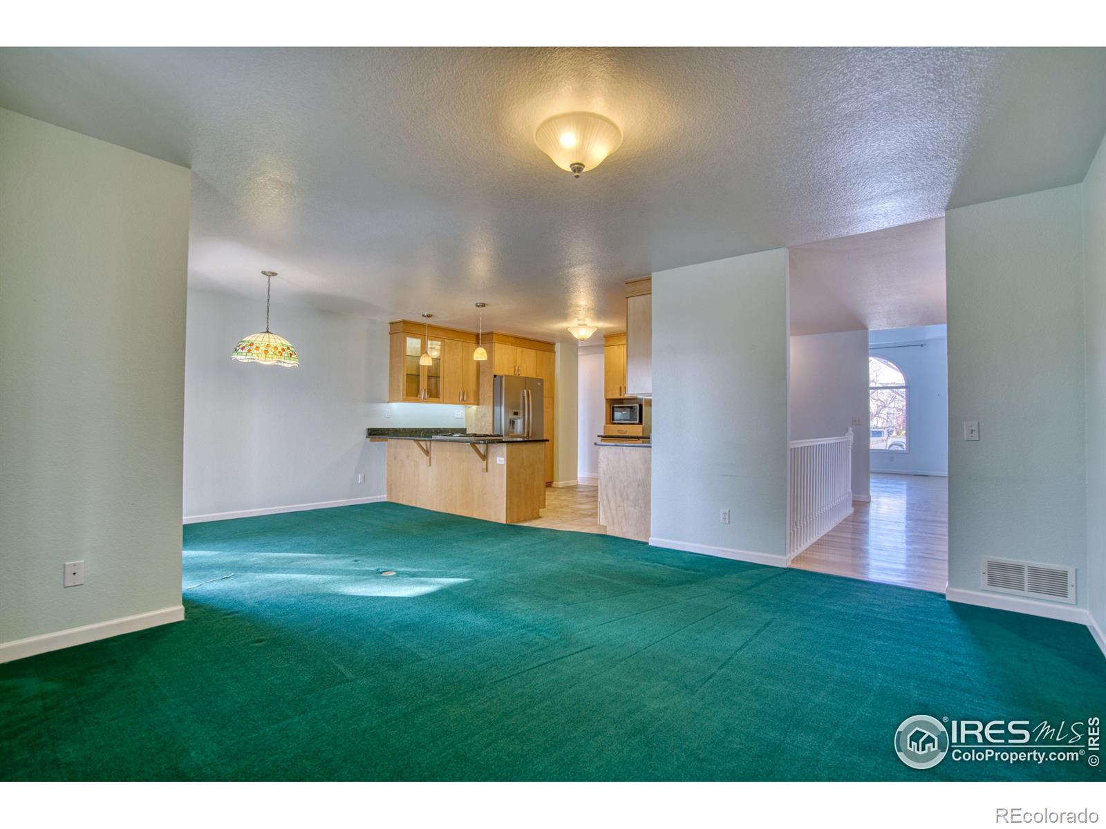 MLS Image #12 for 241  sherwood court,longmont, Colorado