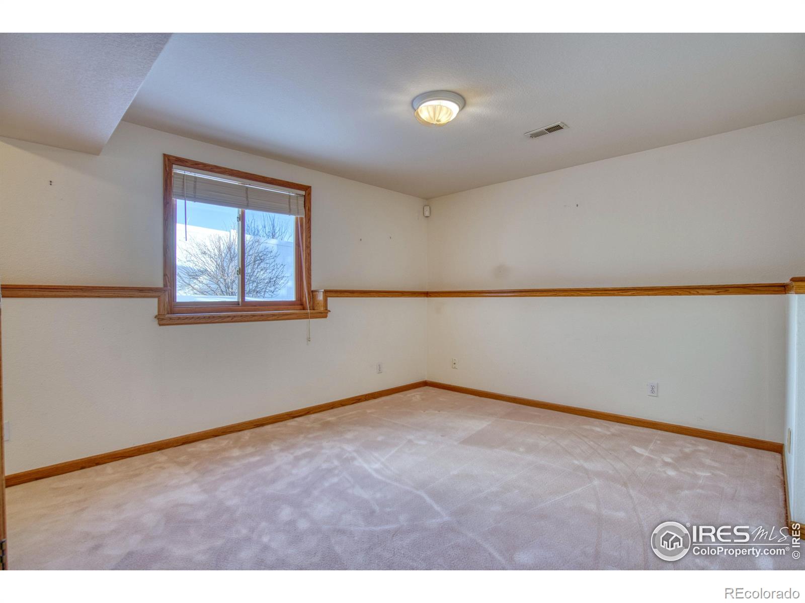 MLS Image #22 for 241  sherwood court,longmont, Colorado