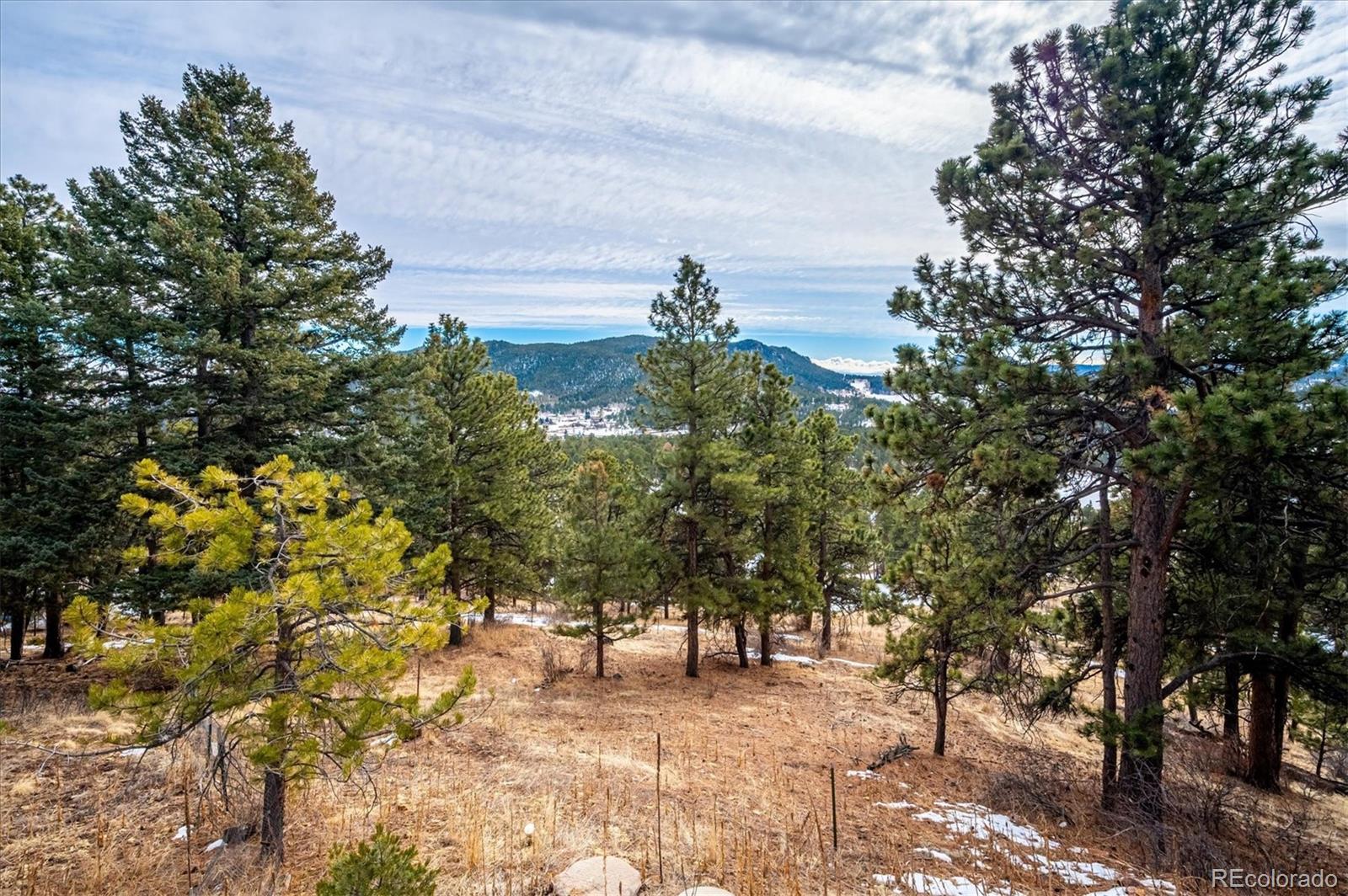 MLS Image #6 for 9189  fallen rock road,conifer, Colorado