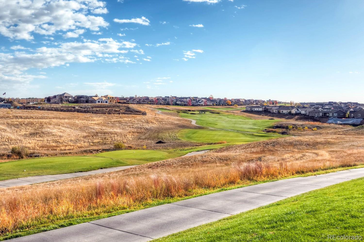 MLS Image #17 for 3000  blue sky circle,erie, Colorado