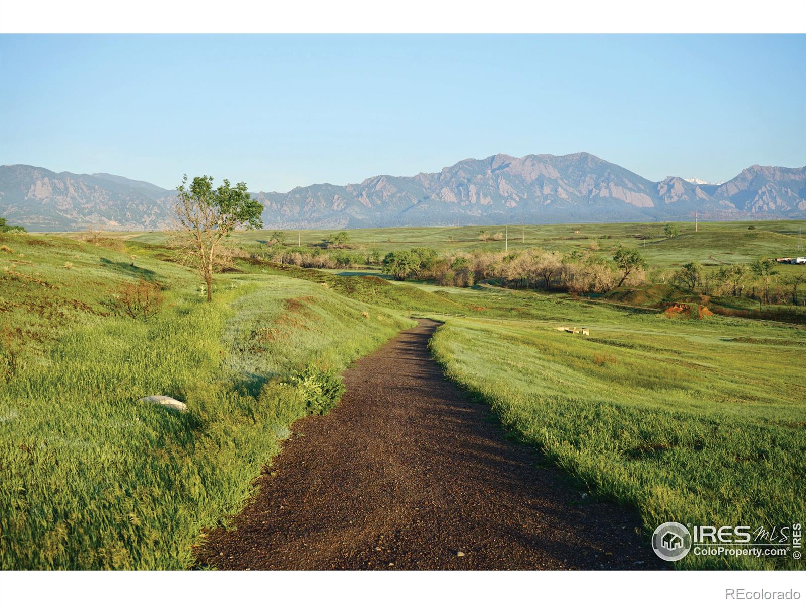 MLS Image #4 for 313 s 3rd avenue,superior, Colorado