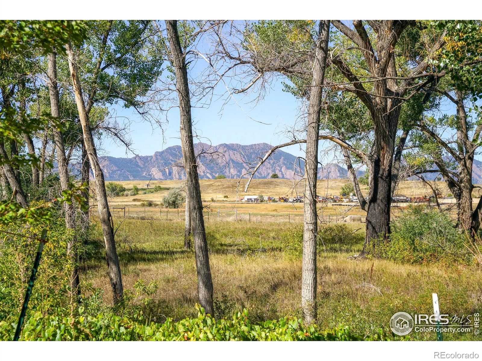 MLS Image #9 for 313 s 3rd avenue,superior, Colorado