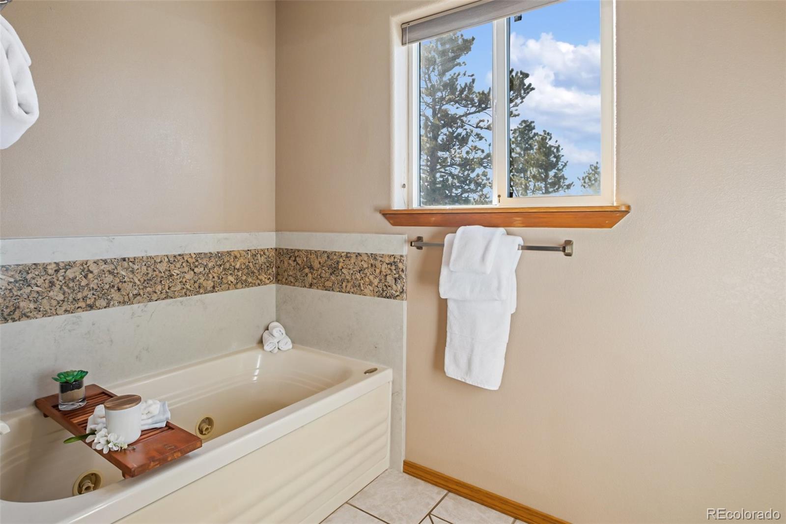 MLS Image #21 for 350  panther court,woodland park, Colorado