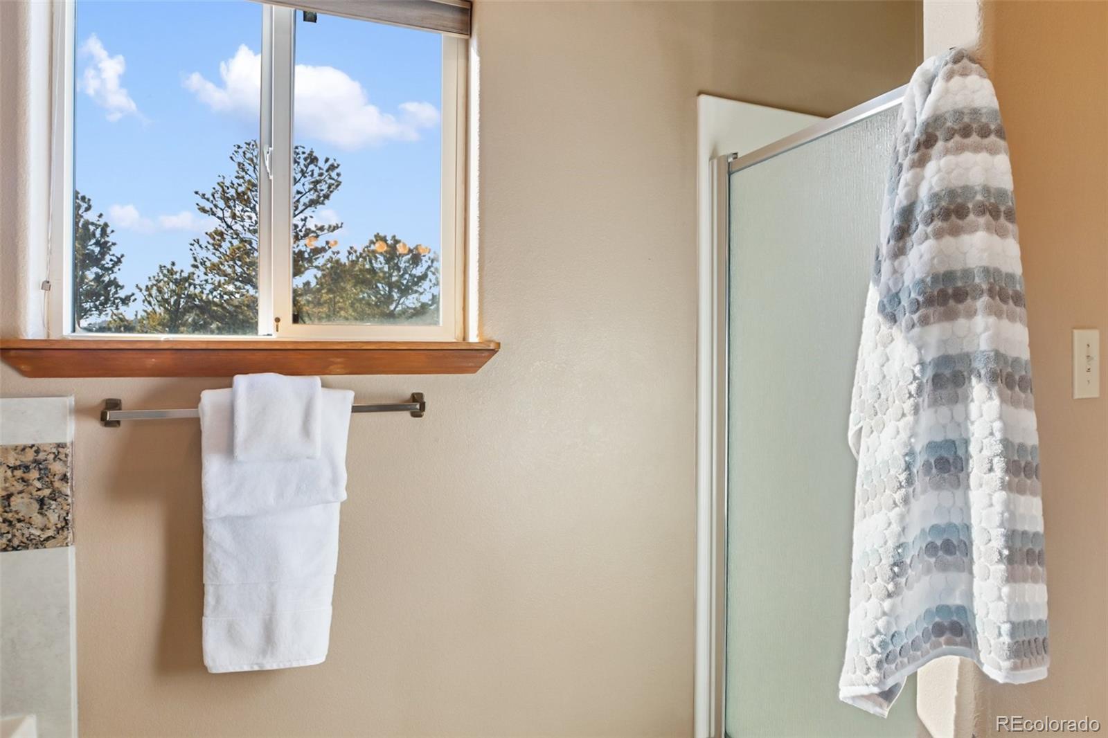MLS Image #22 for 350  panther court,woodland park, Colorado