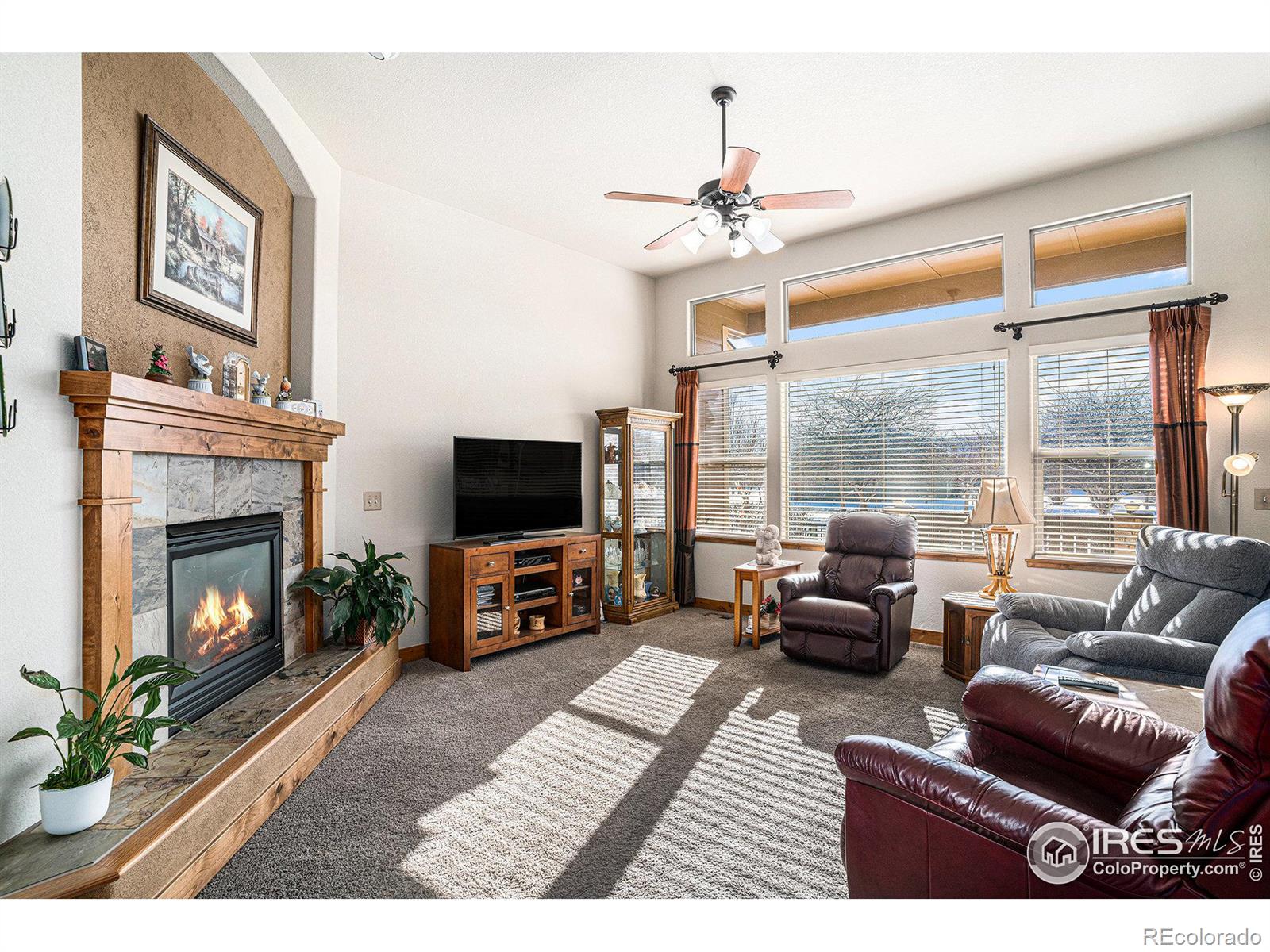 MLS Image #10 for 3285  current creek court,loveland, Colorado