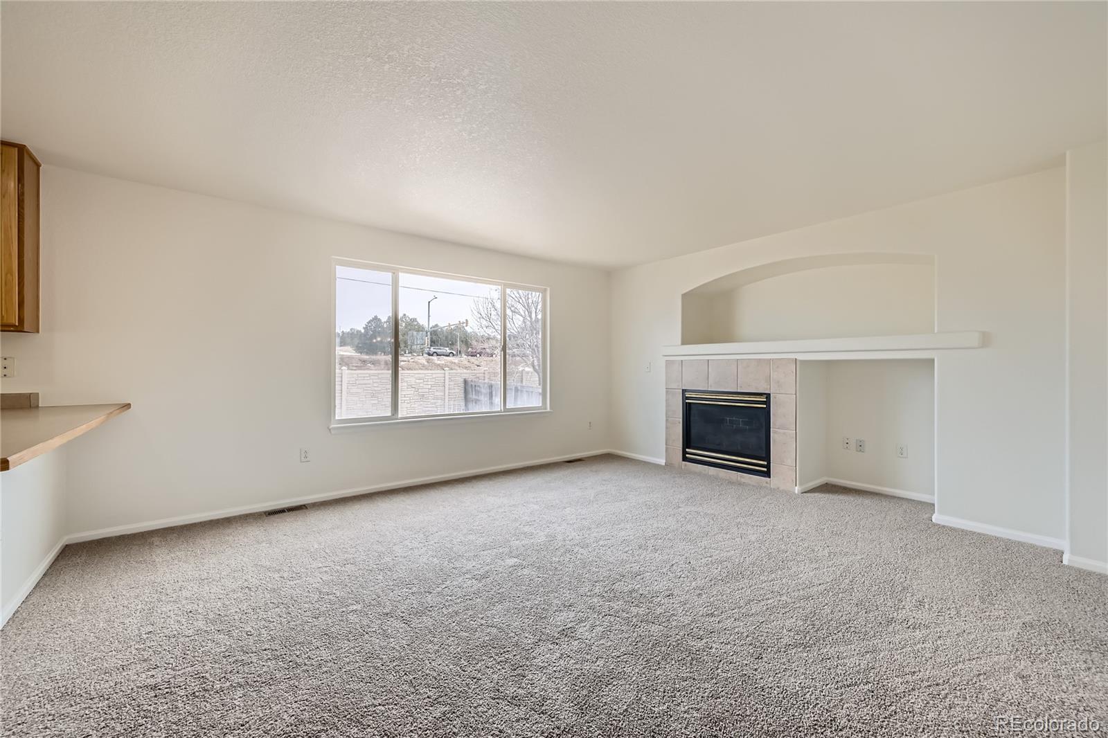 MLS Image #10 for 5423  ben park circle,parker, Colorado