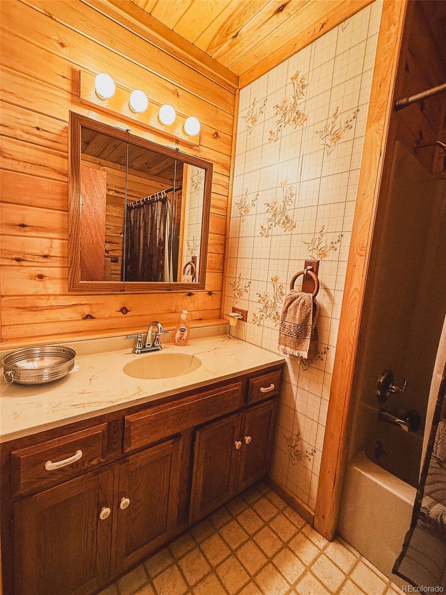 MLS Image #9 for 182  cottonwood drive,south fork, Colorado