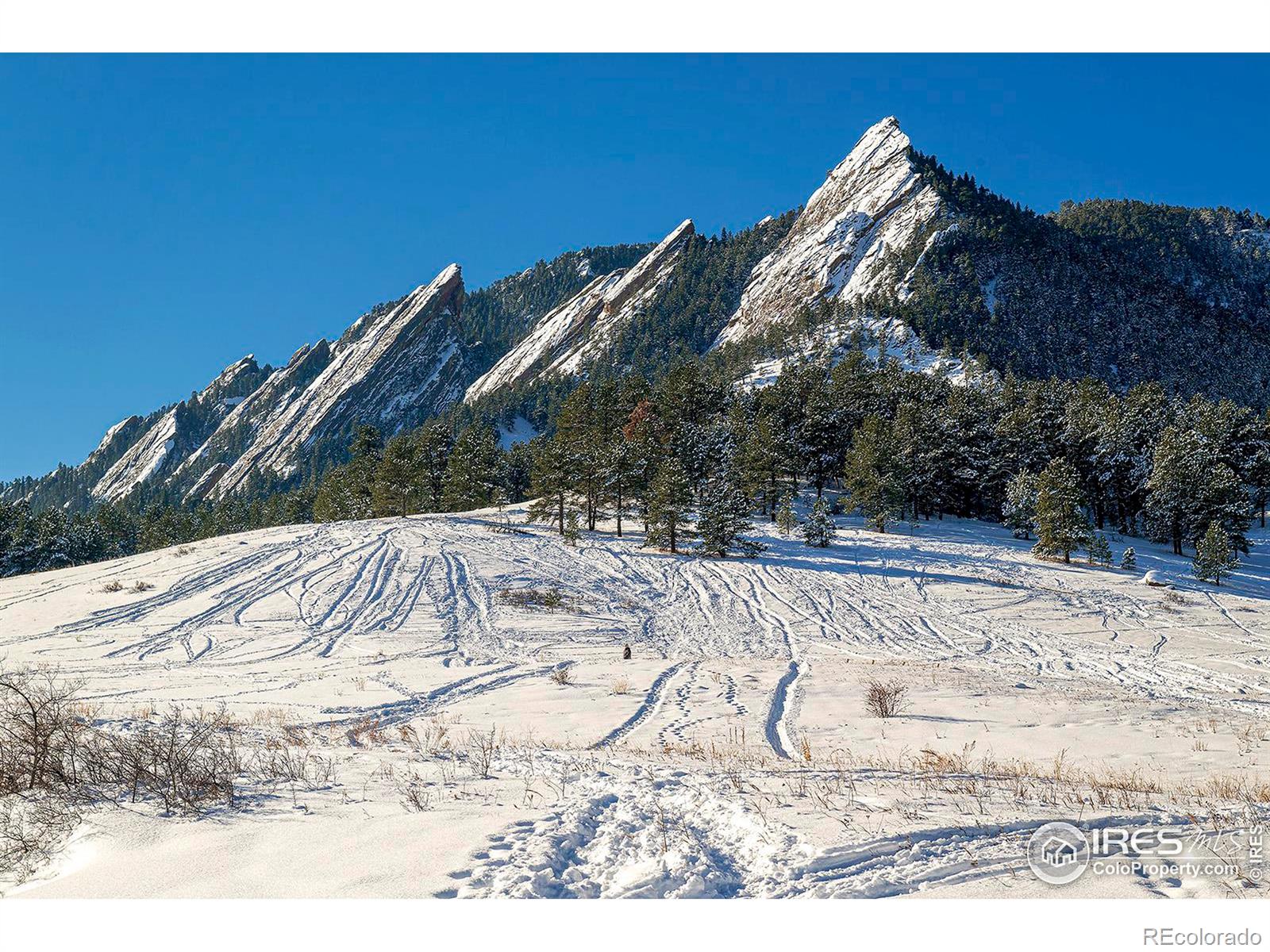 MLS Image #36 for 550  college avenue,boulder, Colorado