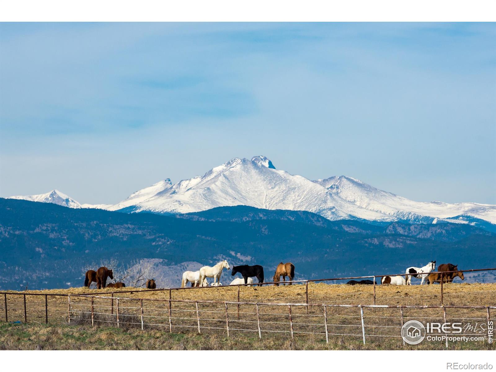 MLS Image #39 for 7172  waterford court,niwot, Colorado