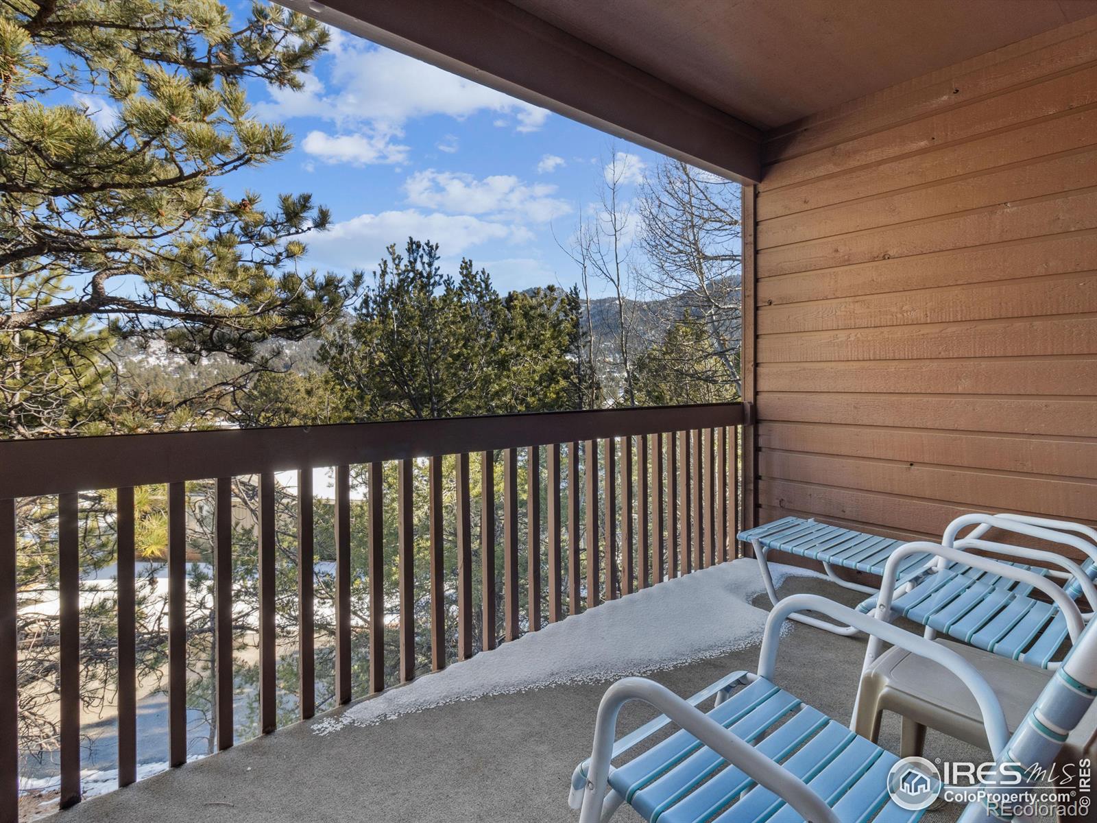 MLS Image #10 for 1050 s saint vrain avenue,estes park, Colorado