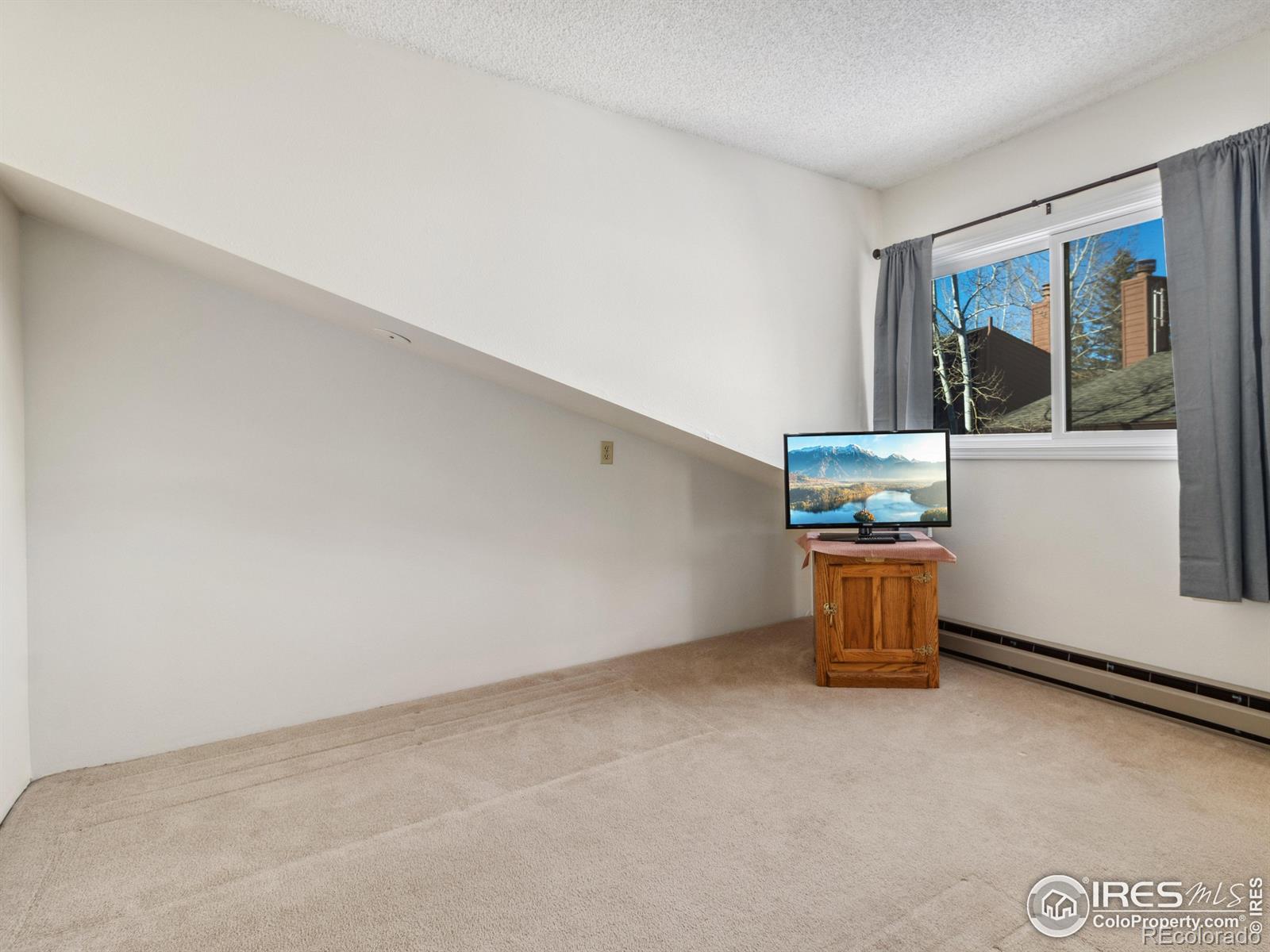 MLS Image #8 for 1050 s saint vrain avenue,estes park, Colorado