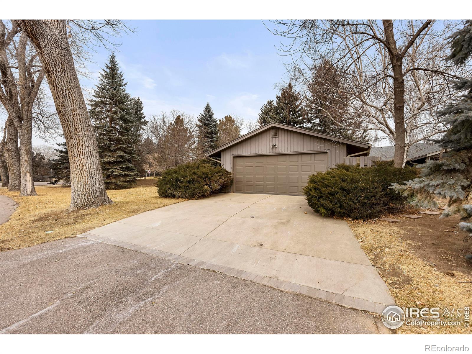 MLS Image #13 for 1113  parkwood drive,fort collins, Colorado