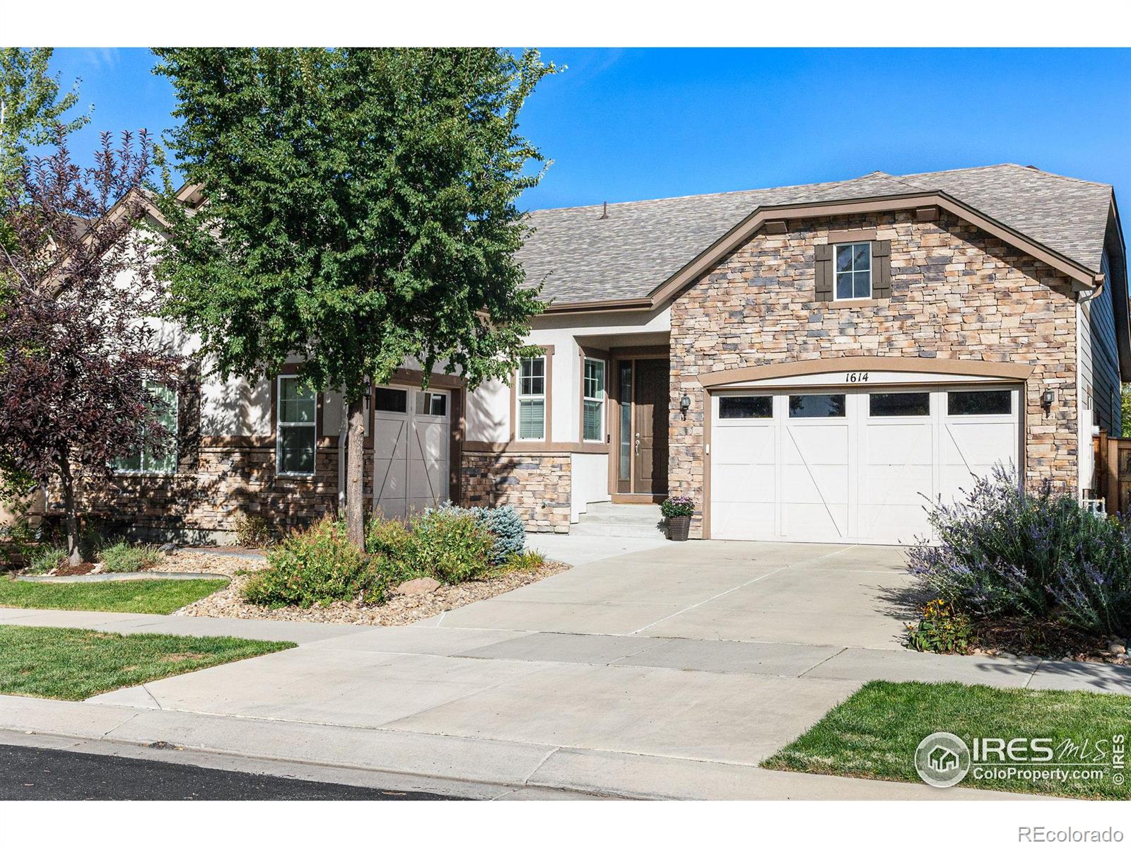 MLS Image #0 for 1614  hideaway court,longmont, Colorado