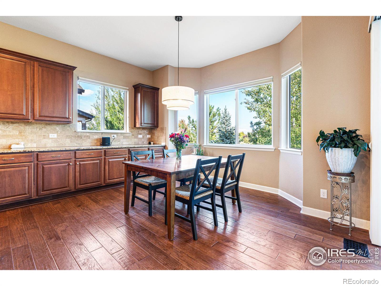 MLS Image #12 for 1614  hideaway court,longmont, Colorado