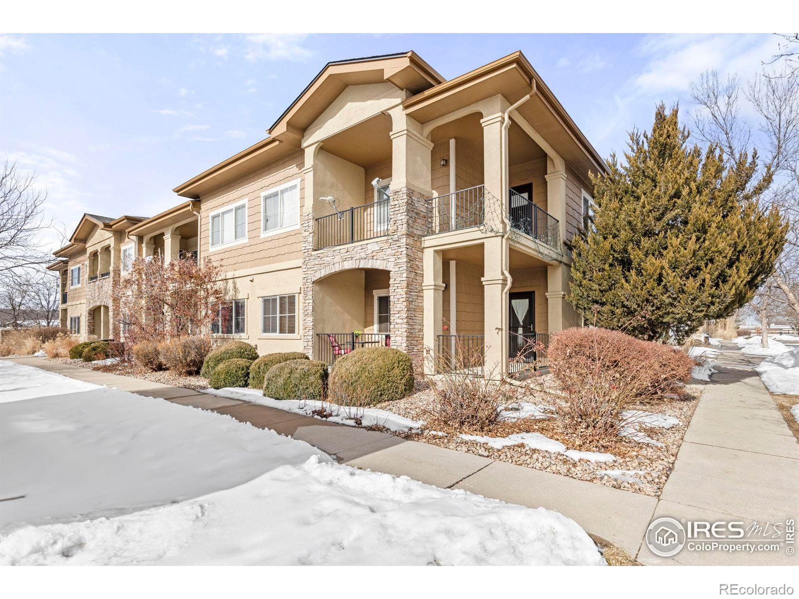 MLS Image #0 for 1011  sonoma circle,longmont, Colorado