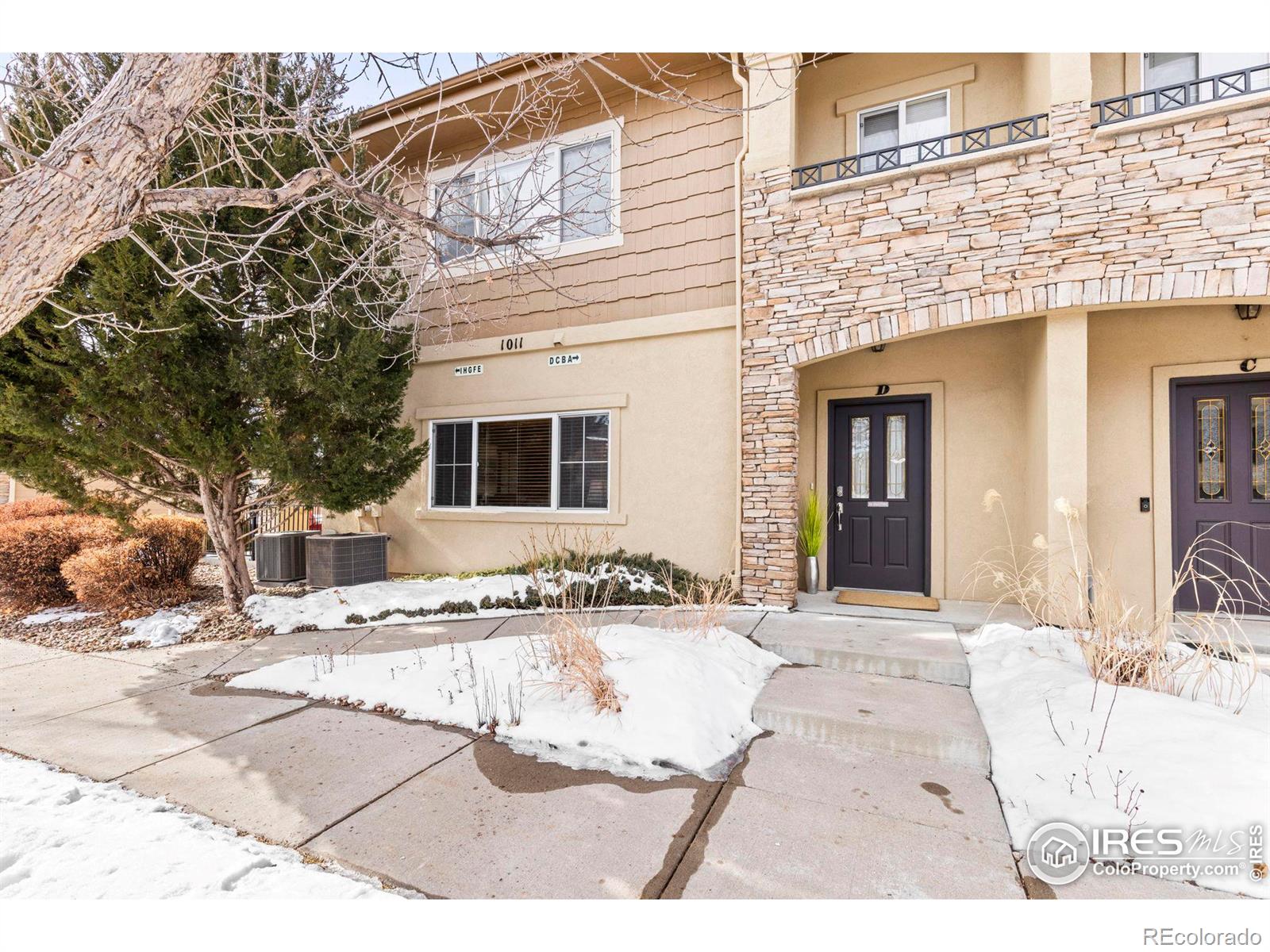 MLS Image #1 for 1011  sonoma circle,longmont, Colorado