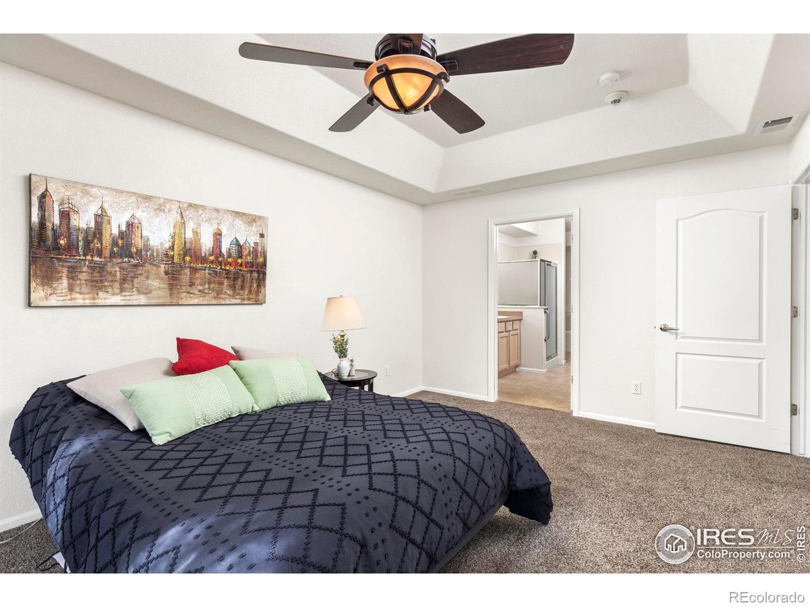 MLS Image #13 for 1011  sonoma circle,longmont, Colorado