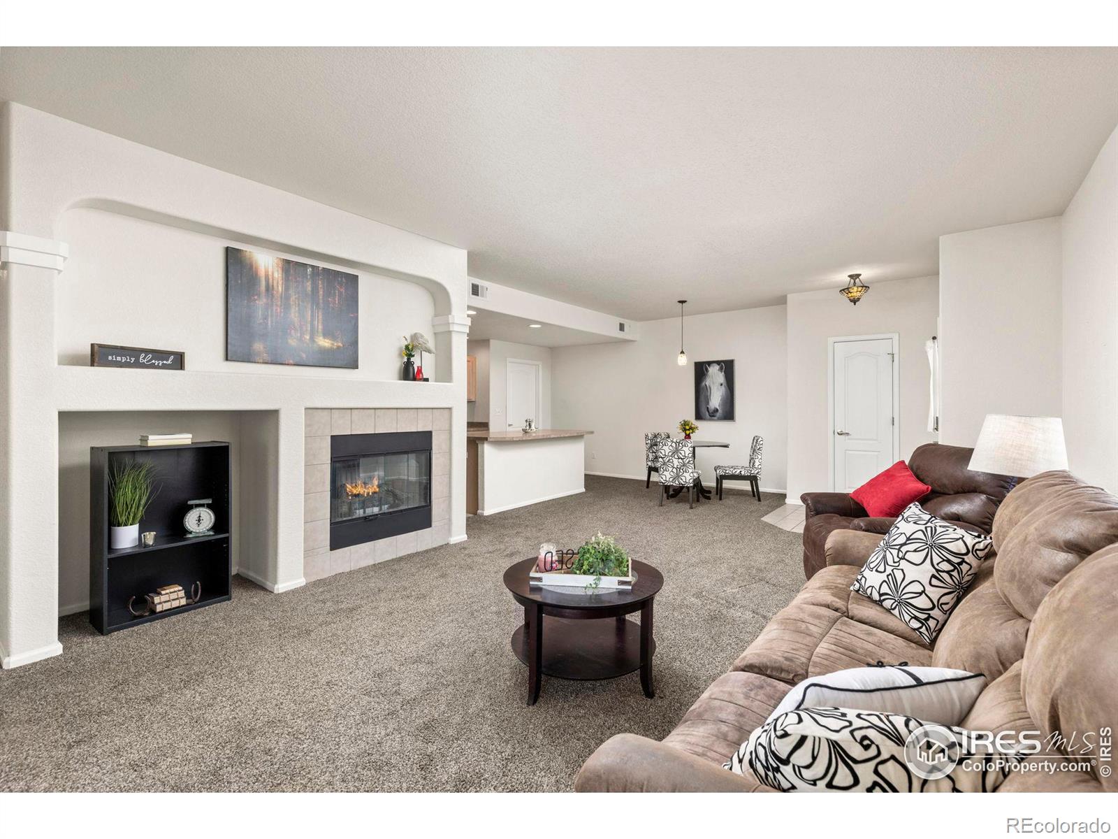 MLS Image #7 for 1011  sonoma circle,longmont, Colorado