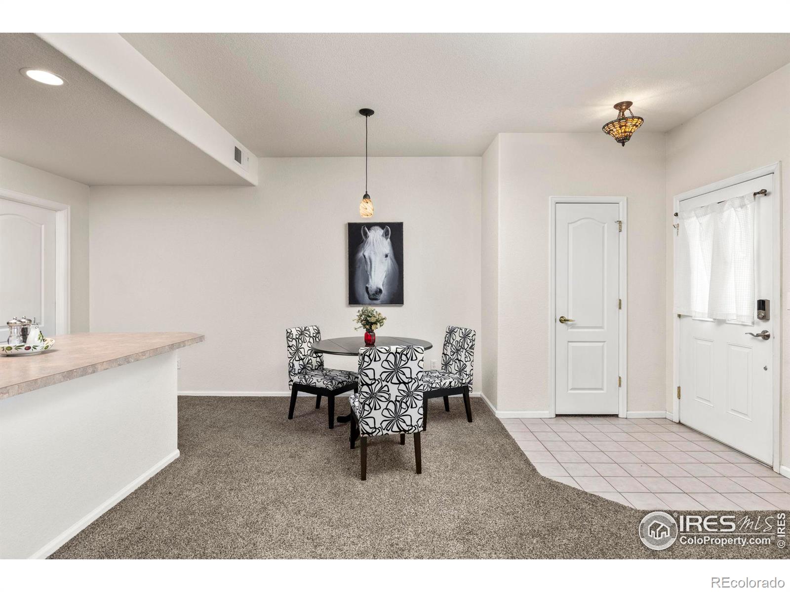 MLS Image #8 for 1011  sonoma circle,longmont, Colorado