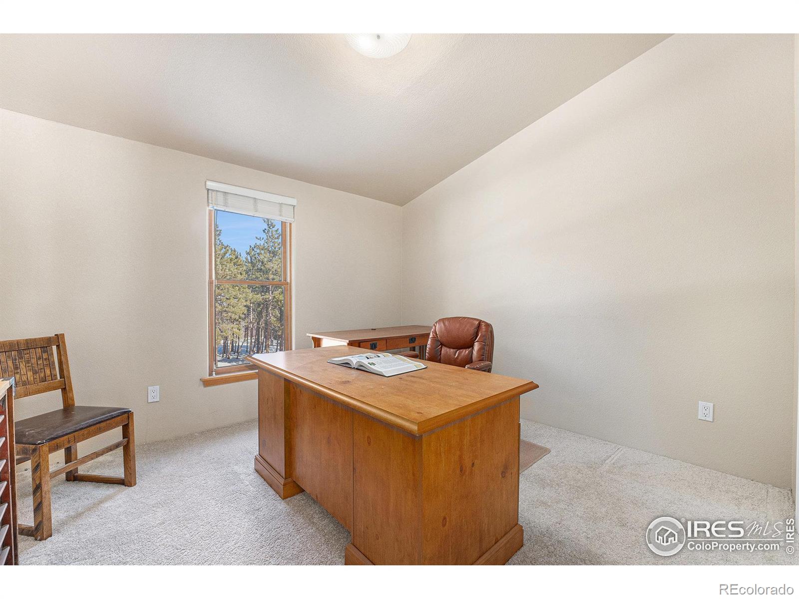 MLS Image #21 for 21759  grandview avenue,golden, Colorado