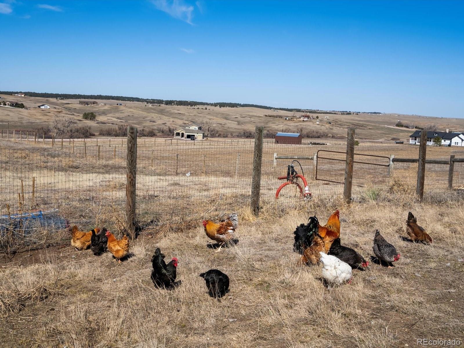 MLS Image #36 for 34698  southern cross loop,kiowa, Colorado