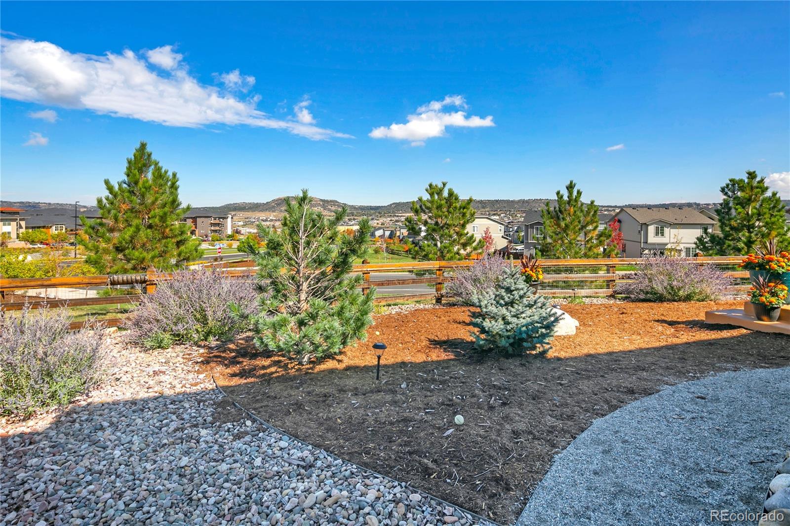 MLS Image #3 for 3338  youngheart way,castle rock, Colorado