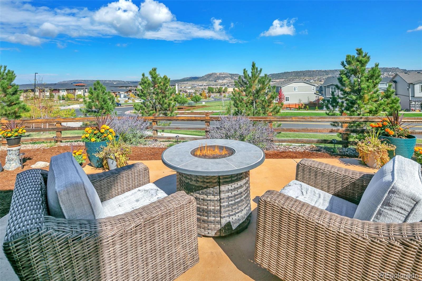 MLS Image #4 for 3338  youngheart way,castle rock, Colorado