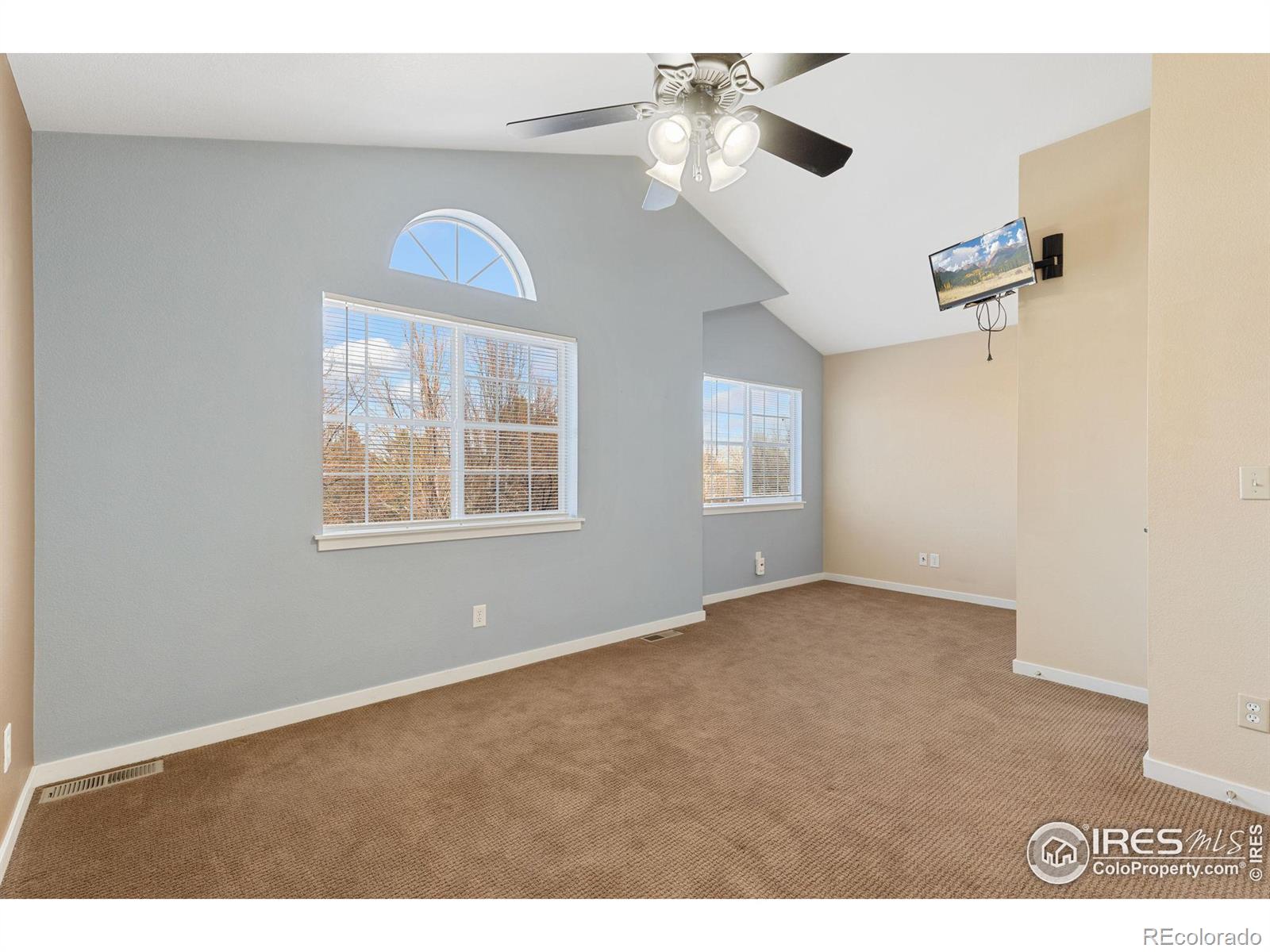 MLS Image #12 for 815  snowberry street,longmont, Colorado