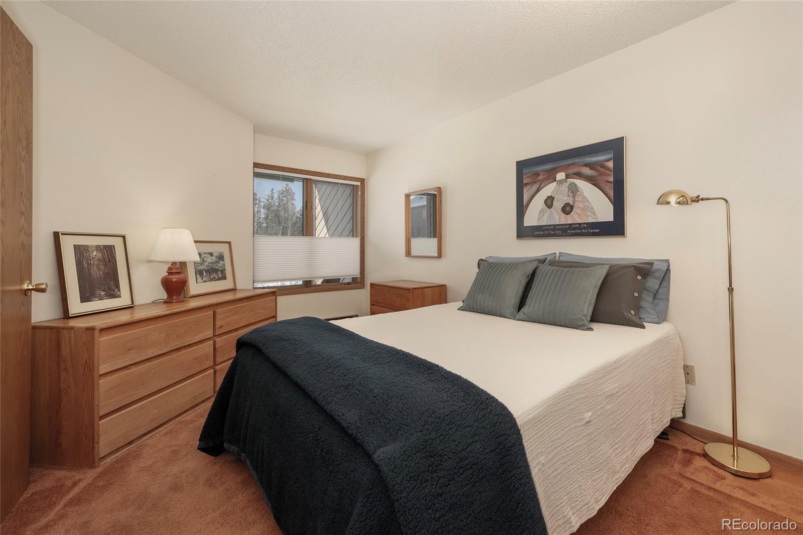 MLS Image #12 for 905  gcr 834 ,fraser, Colorado