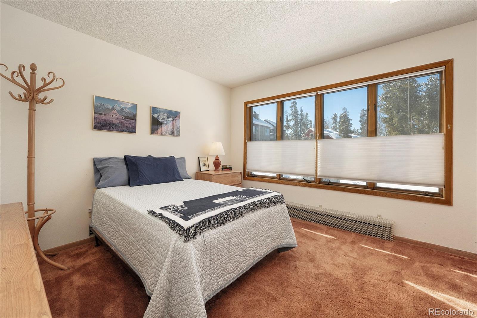 MLS Image #14 for 905  gcr 834 ,fraser, Colorado