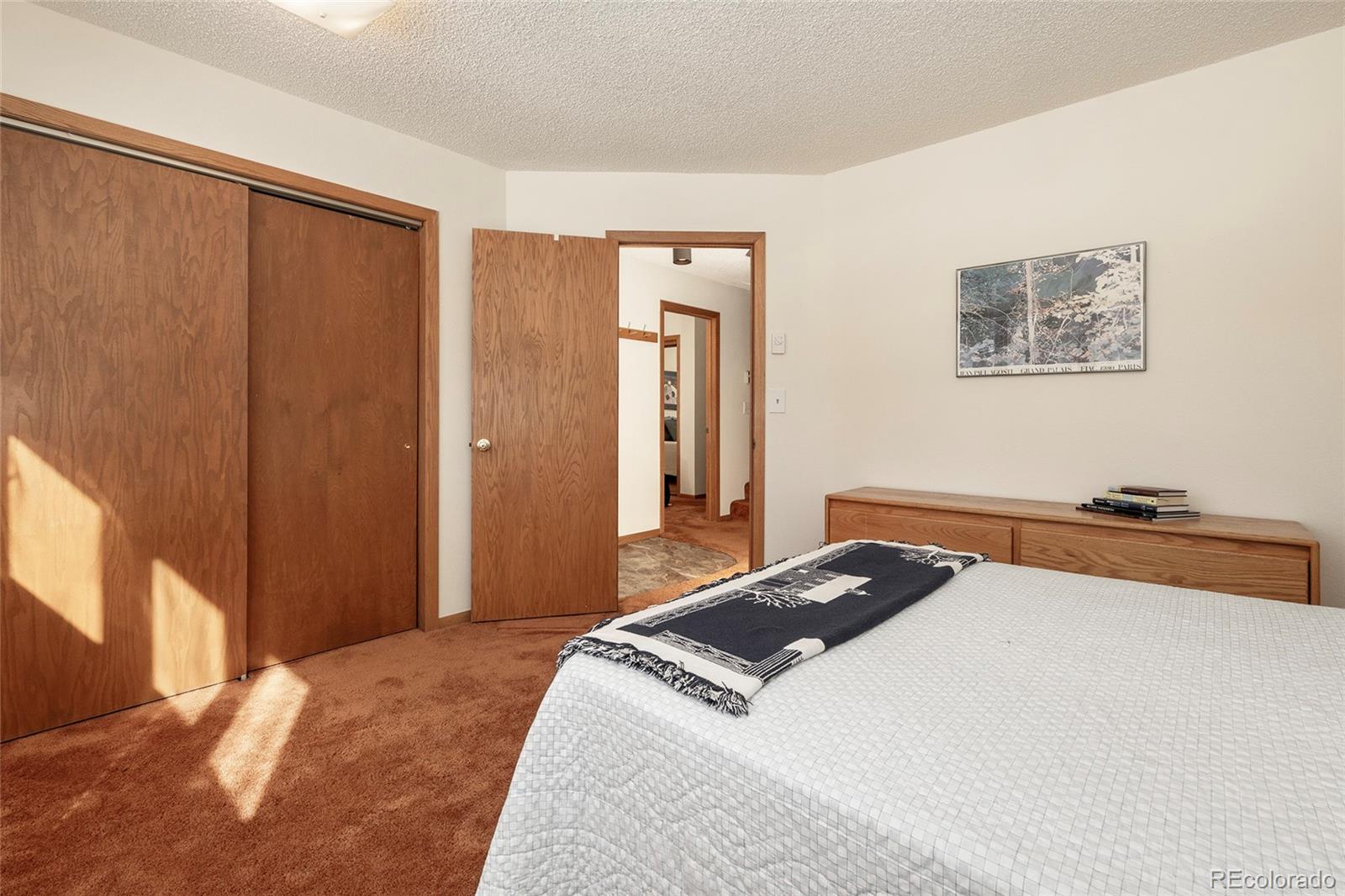 MLS Image #15 for 905  gcr 834 ,fraser, Colorado