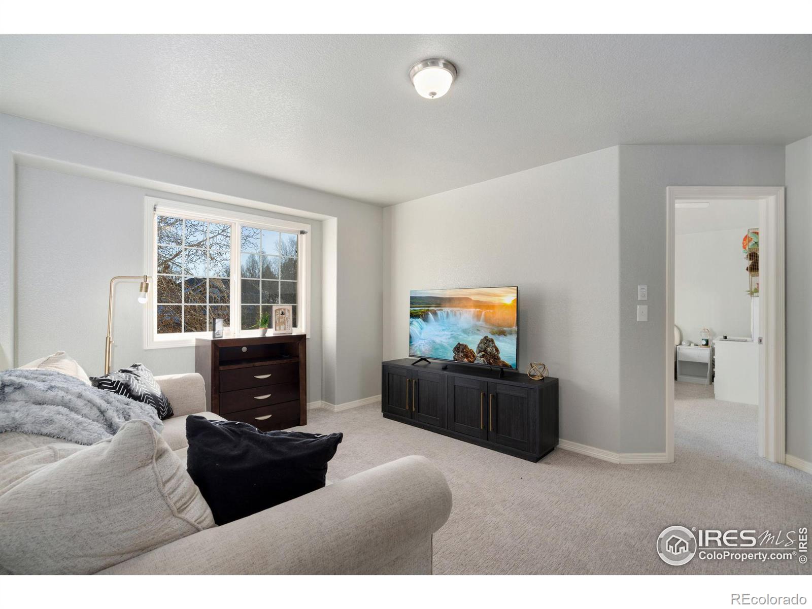 MLS Image #17 for 7249  carner court,fort collins, Colorado