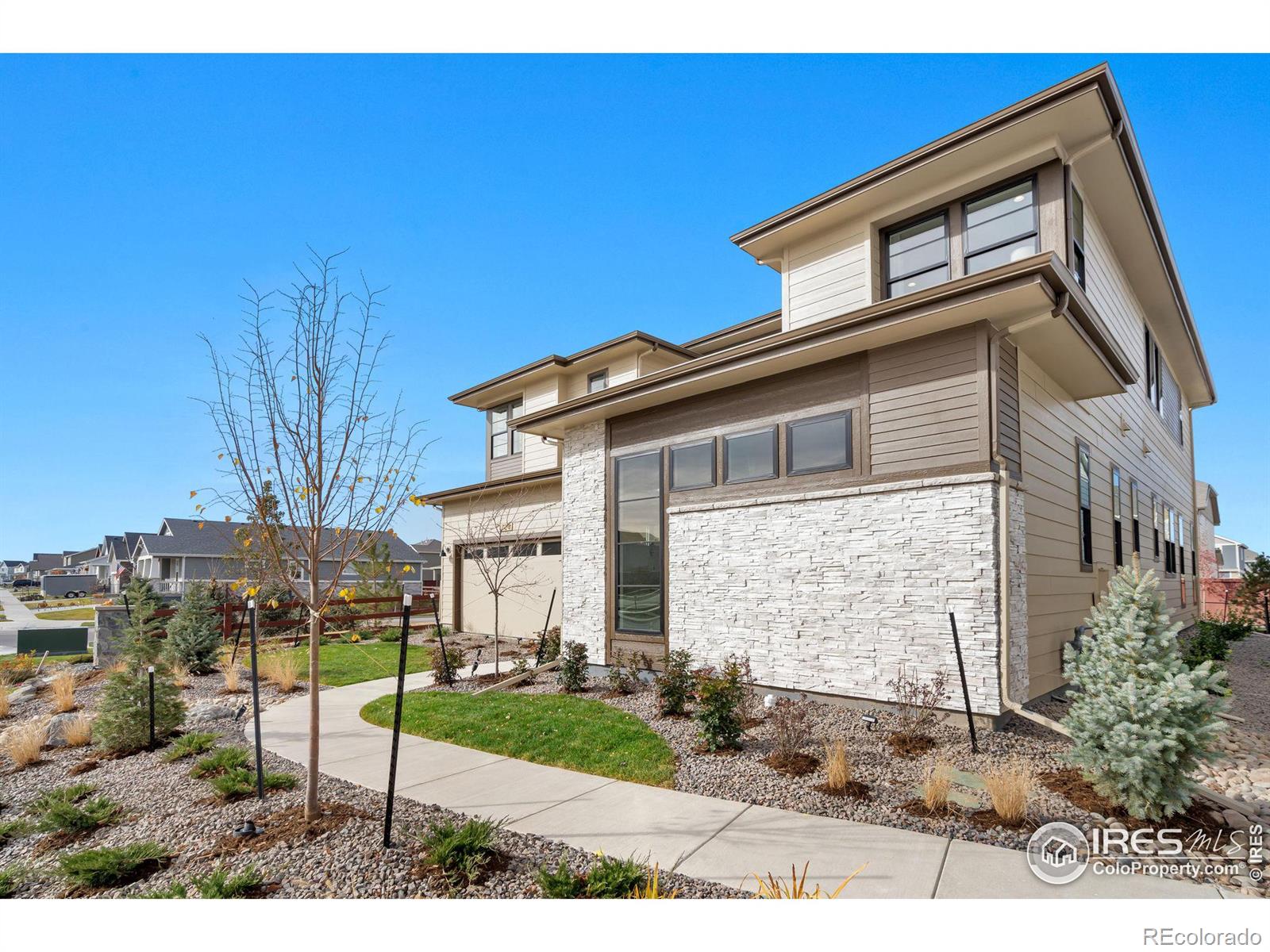 MLS Image #3 for 1720  branching canopy drive,windsor, Colorado