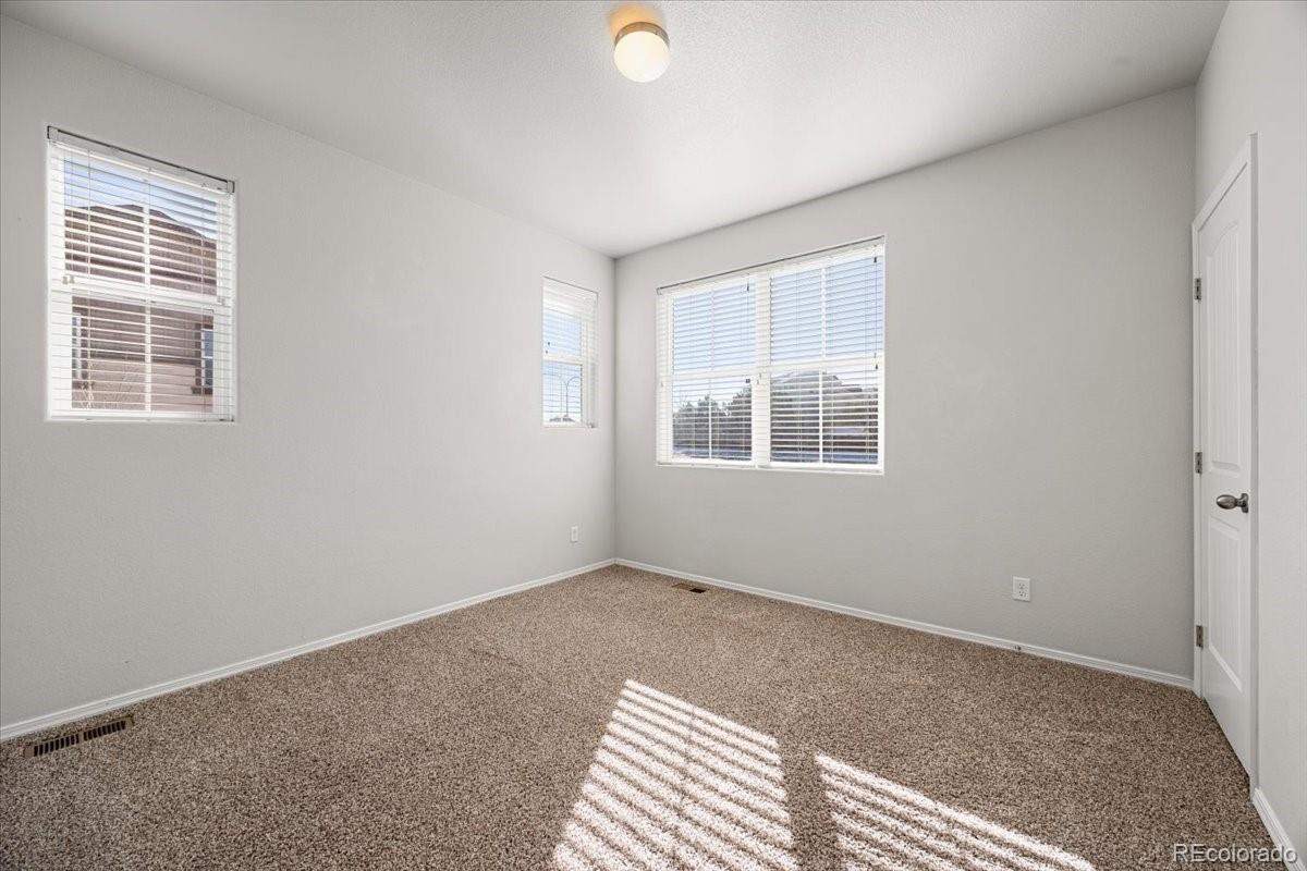 MLS Image #19 for 5295  prominence point,colorado springs, Colorado