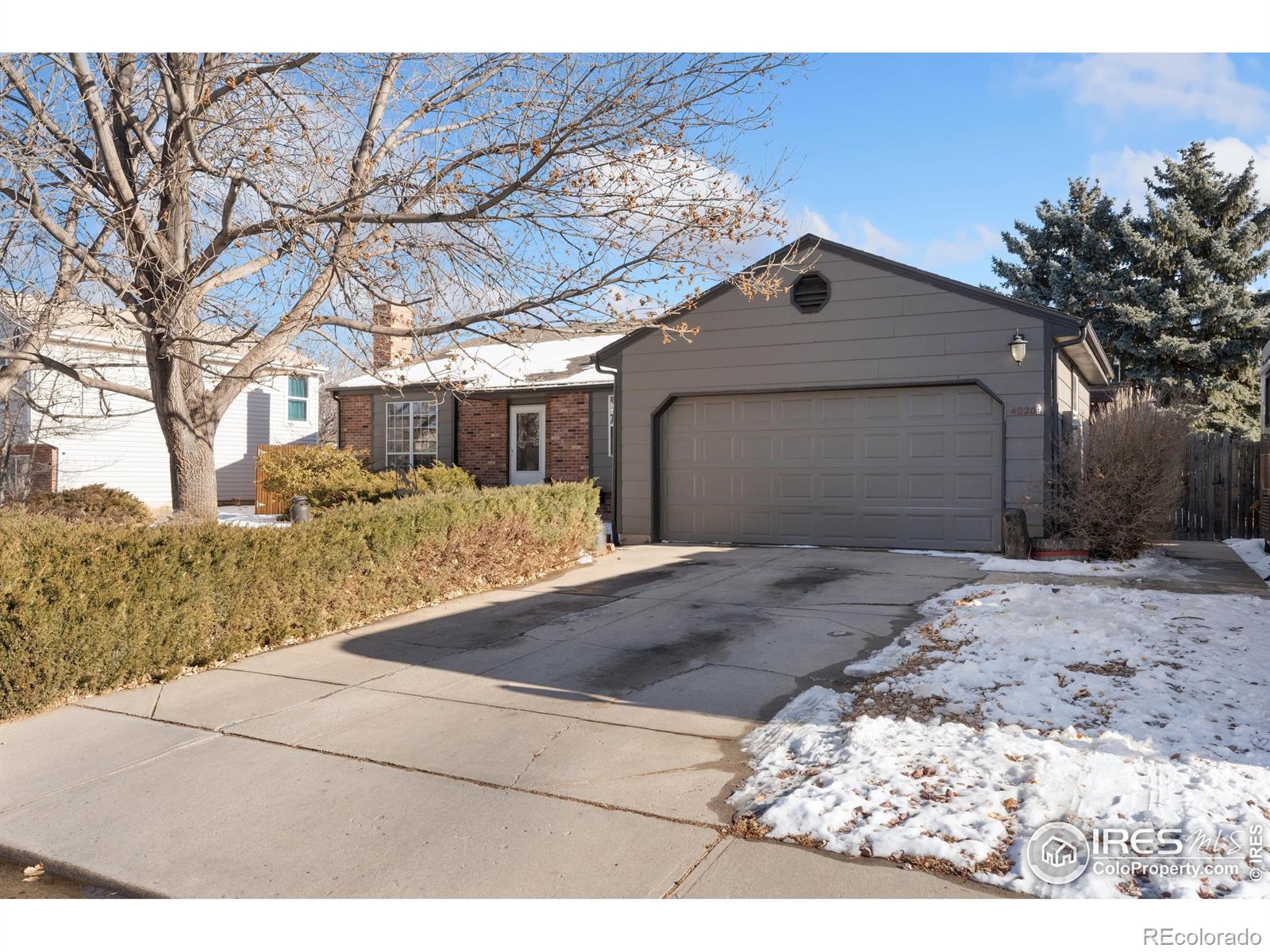 MLS Image #2 for 4020  delcon court,loveland, Colorado