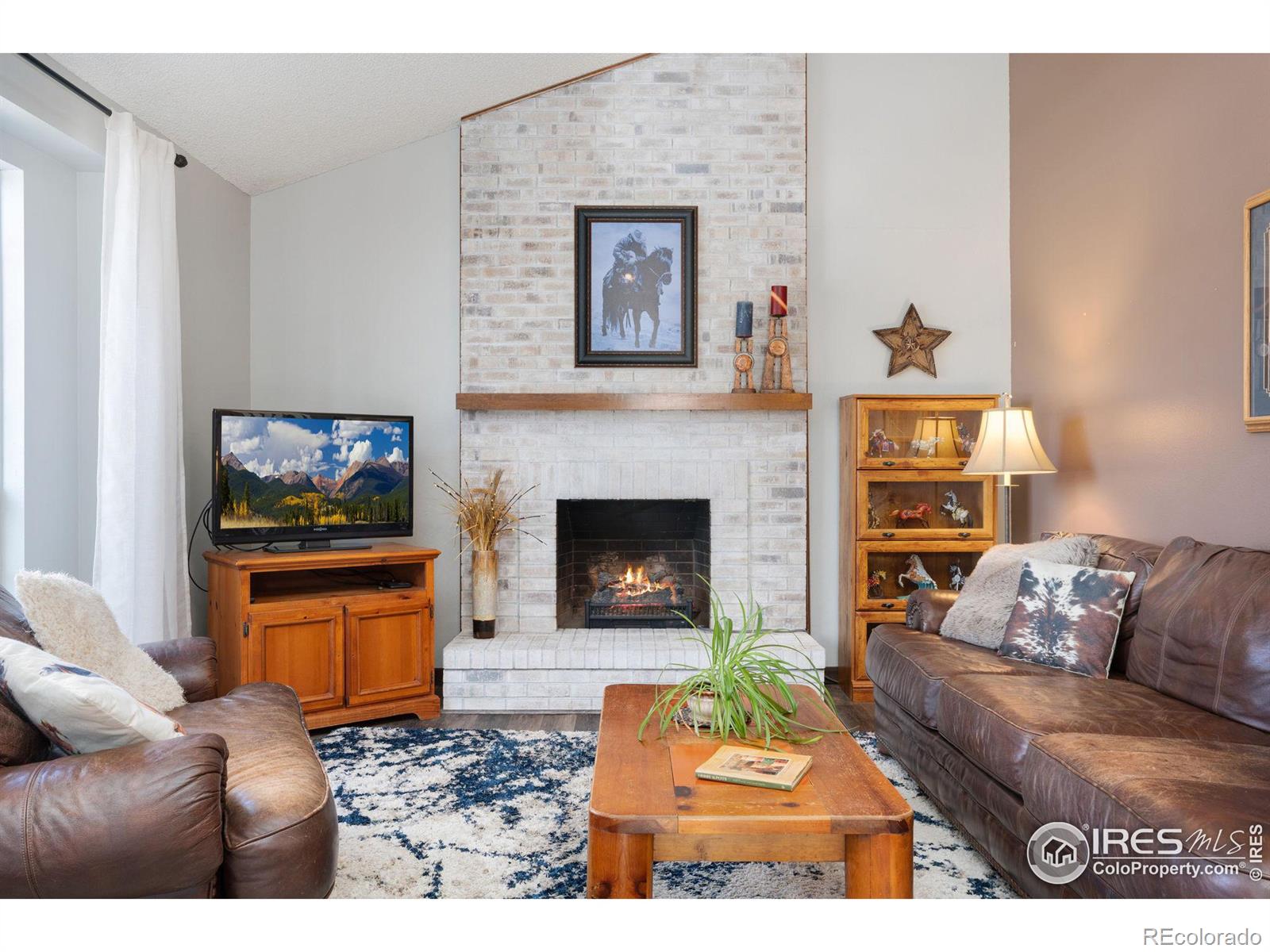 MLS Image #3 for 4020  delcon court,loveland, Colorado