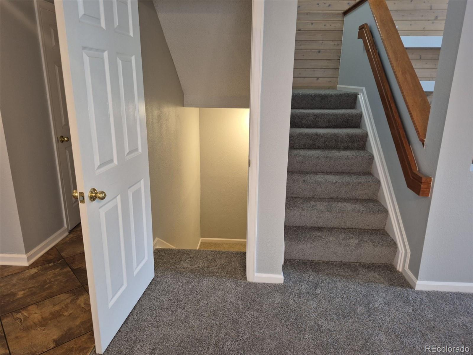 MLS Image #40 for 2238 s nile court,aurora, Colorado