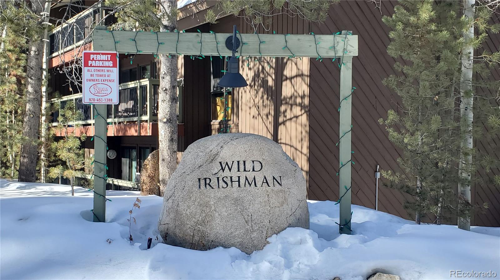 MLS Image #33 for 433  wild irishman road 12101,keystone, Colorado