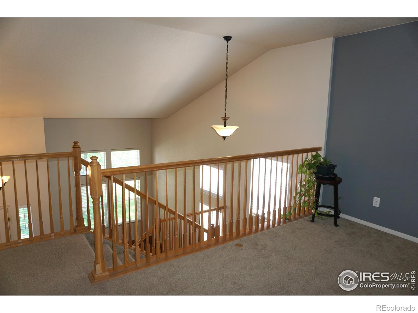 MLS Image #12 for 12609  jersey circle,thornton, Colorado