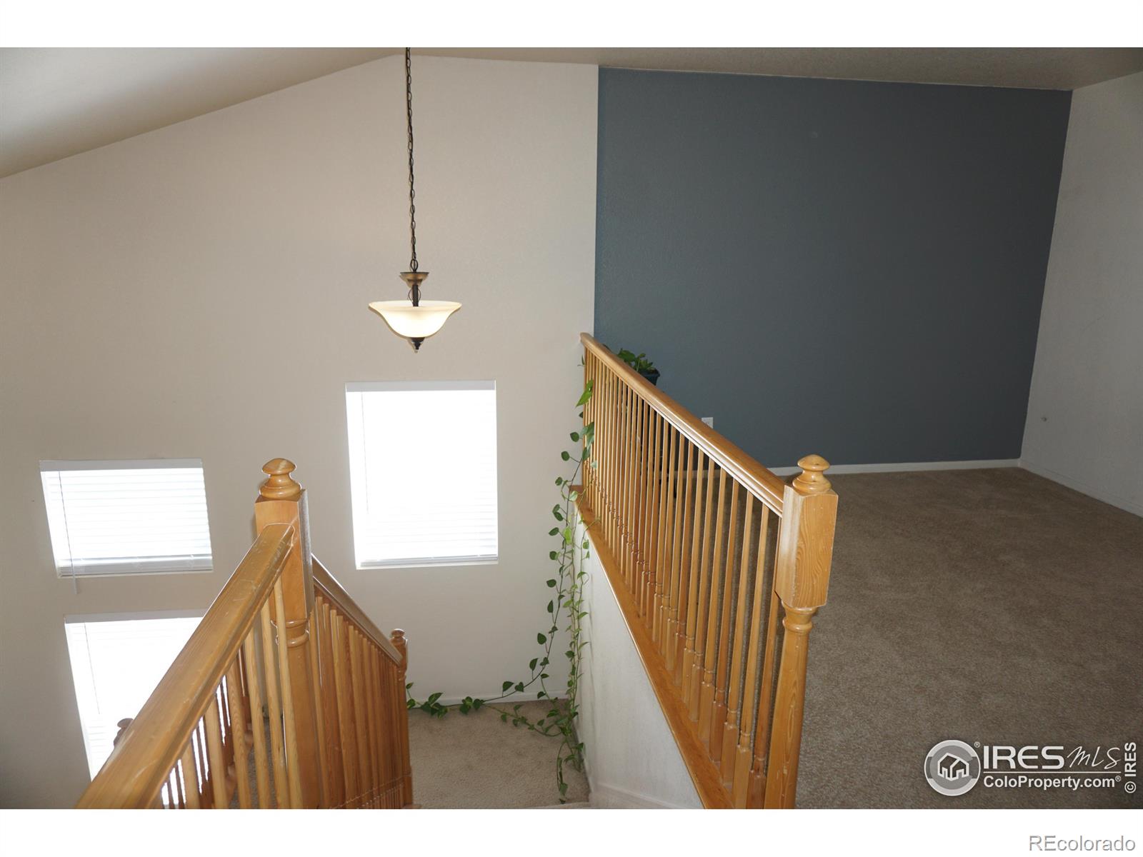 MLS Image #13 for 12609  jersey circle,thornton, Colorado