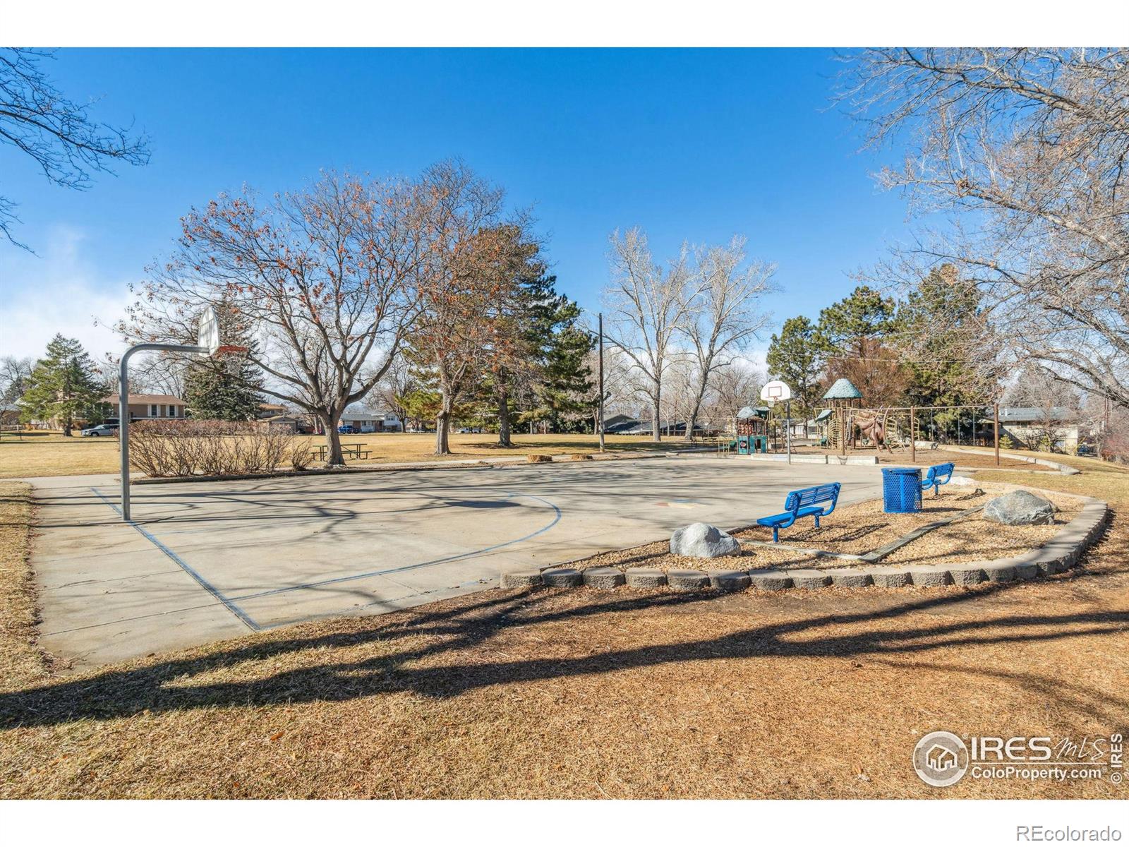 MLS Image #26 for 10596  ura lane,northglenn, Colorado