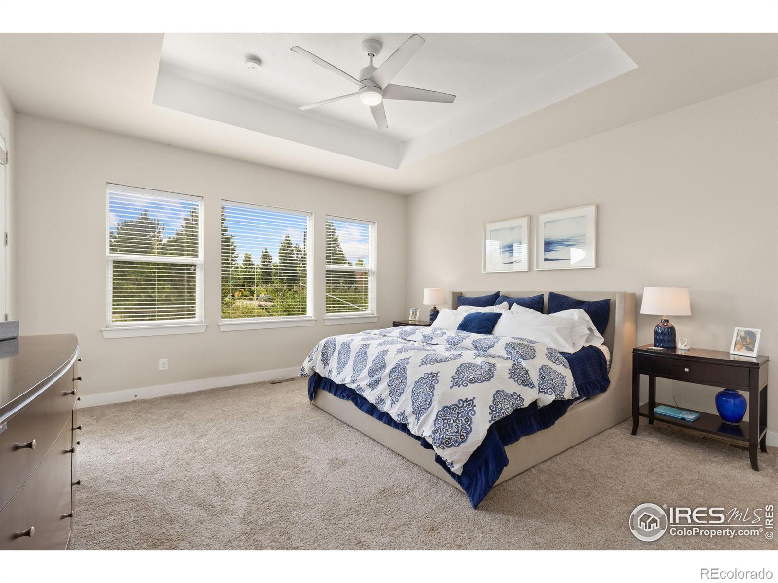 MLS Image #10 for 4208  lyric falls drive,loveland, Colorado