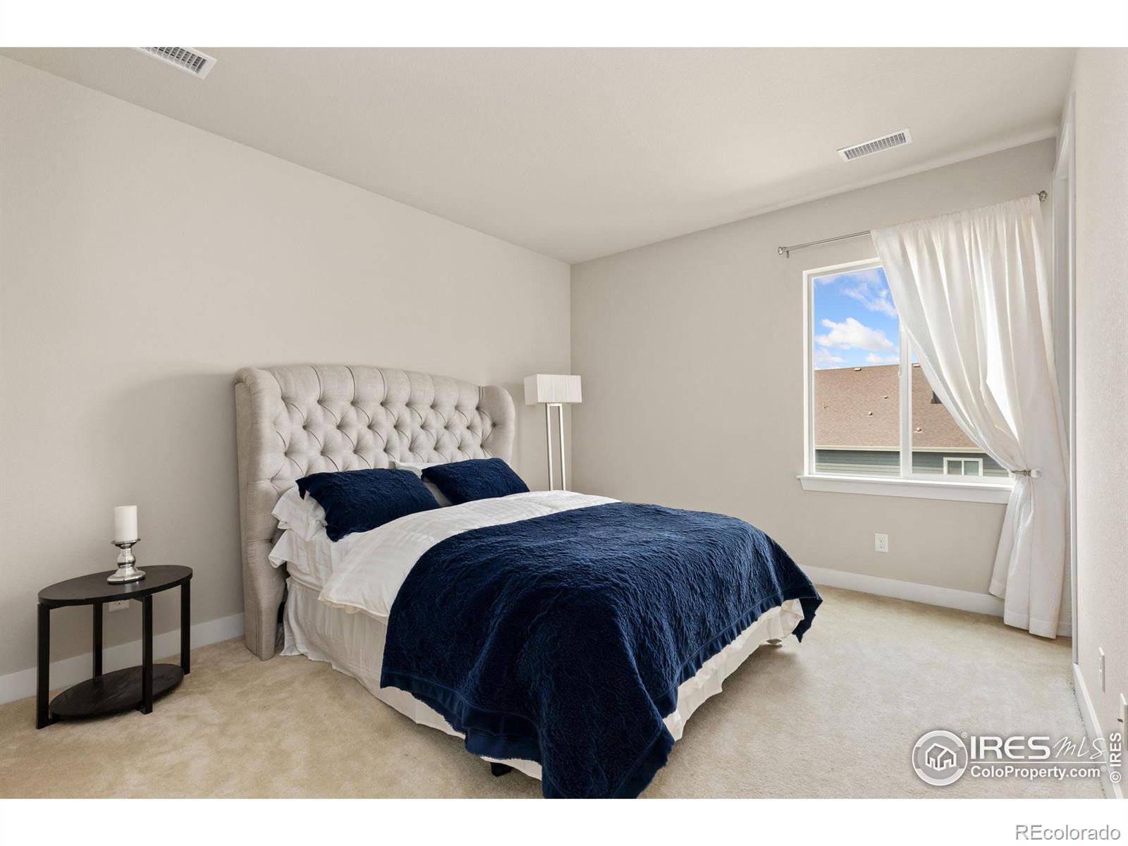 MLS Image #16 for 4208  lyric falls drive,loveland, Colorado