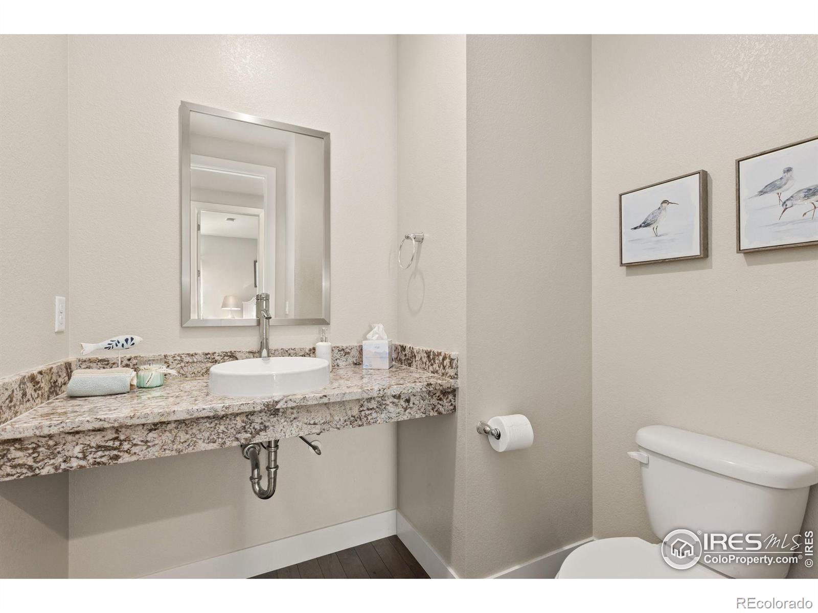 MLS Image #8 for 4208  lyric falls drive,loveland, Colorado