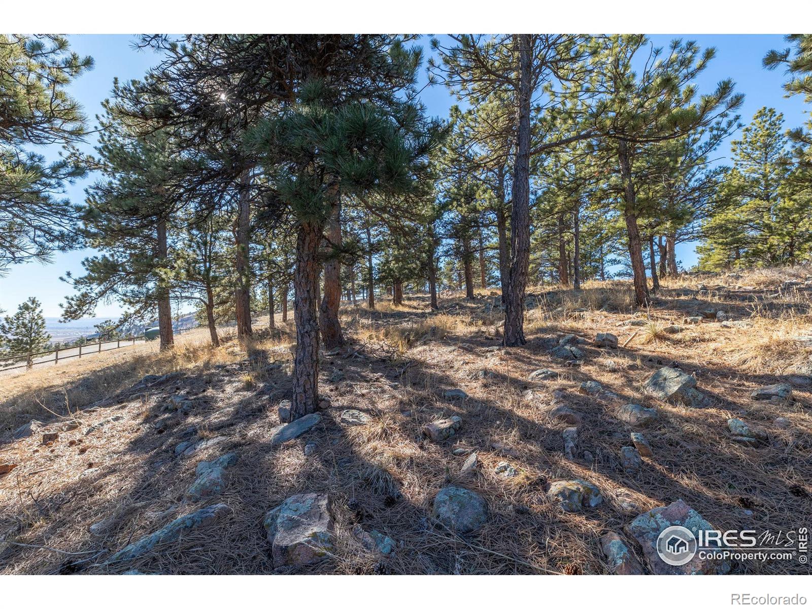 MLS Image #20 for 8393  stoneridge terrace,boulder, Colorado